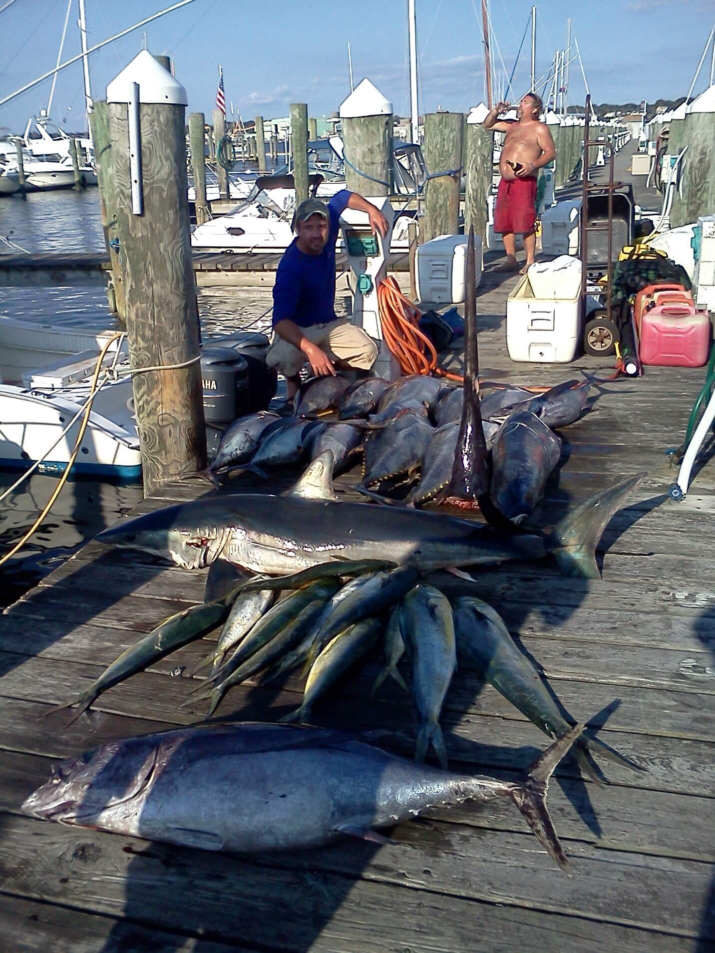 A dockside spread from a double overnight trip with tuna, mahi, and shark