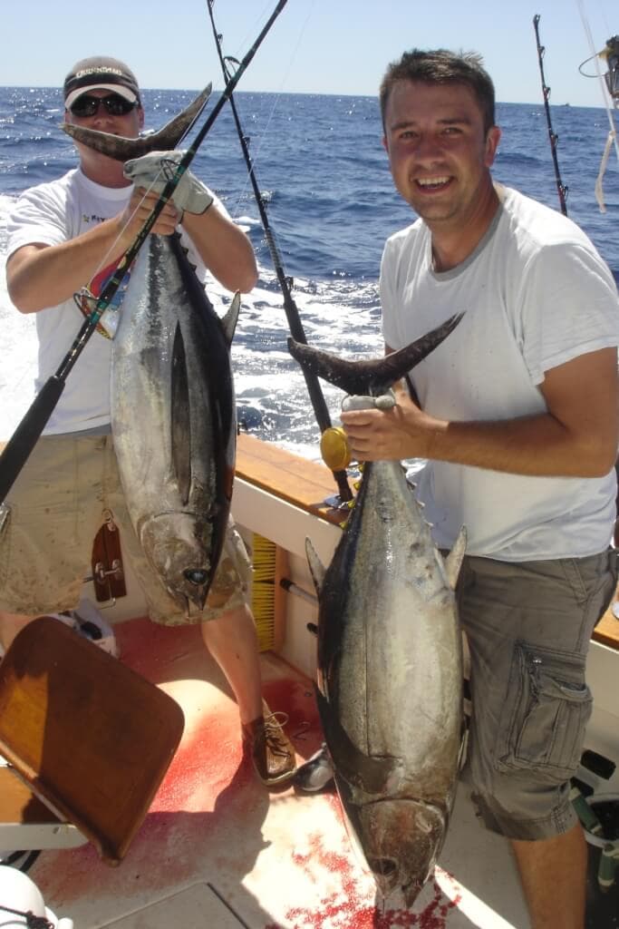 An early offshore trip with a tuna brought over the rail